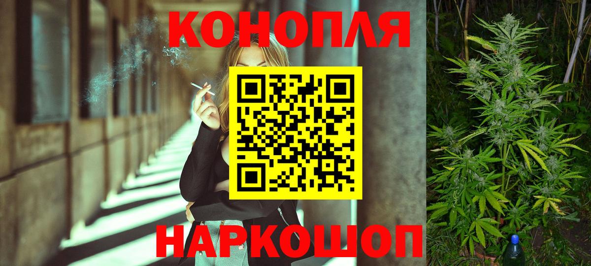 Бошки Шишки Amnesia Шелехов